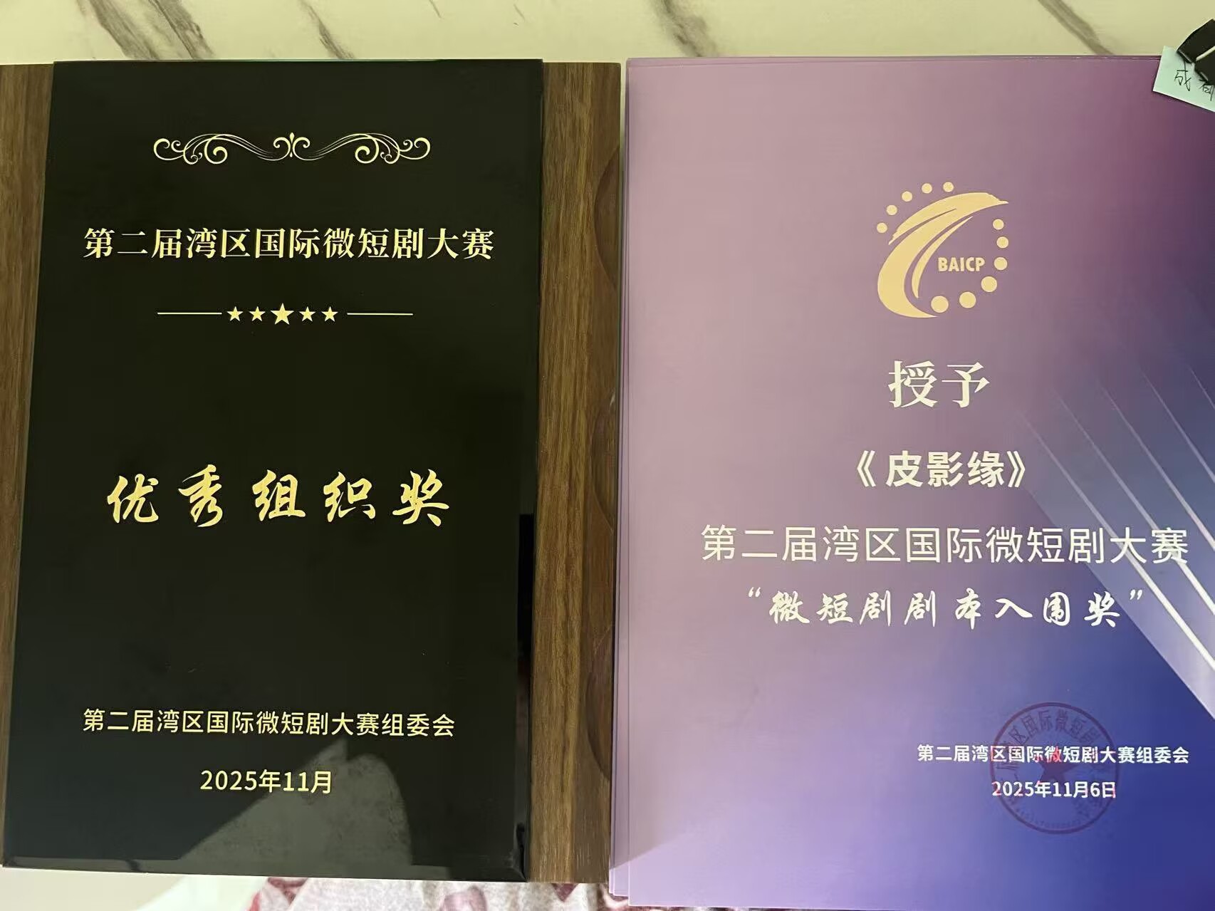 文法学院斩获第二届湾区微短剧大赛10余项入围奖